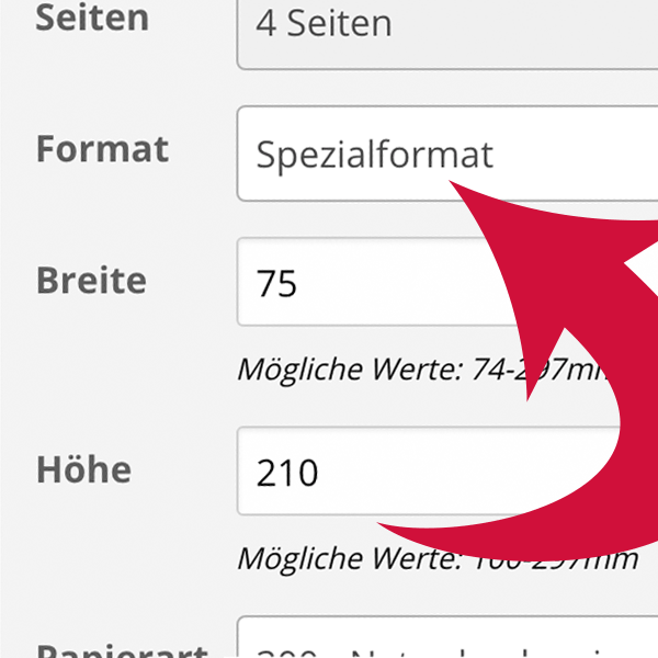 Spezialformat drucken