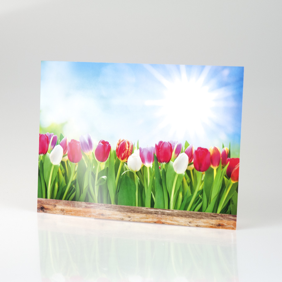 Postkarte UV-Hochglanz