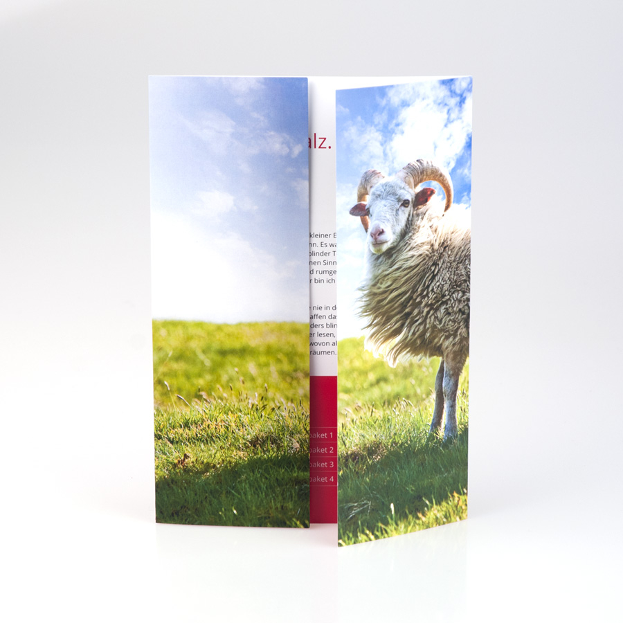 Flyer offener Fensterfalz