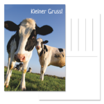 A6, Rückseite mit Postkartenaufdruck